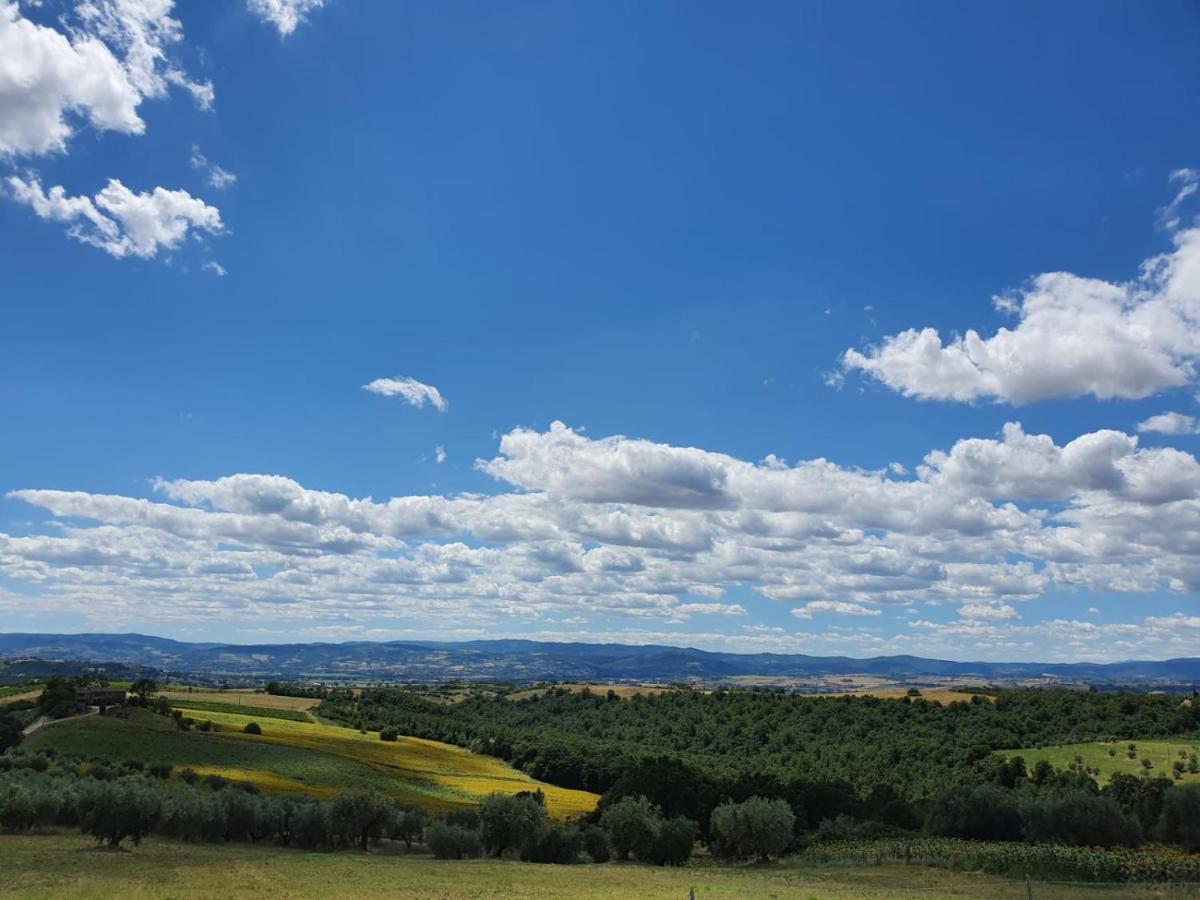 مبيت وإفطار ديروتا La Collina المظهر الخارجي الصورة