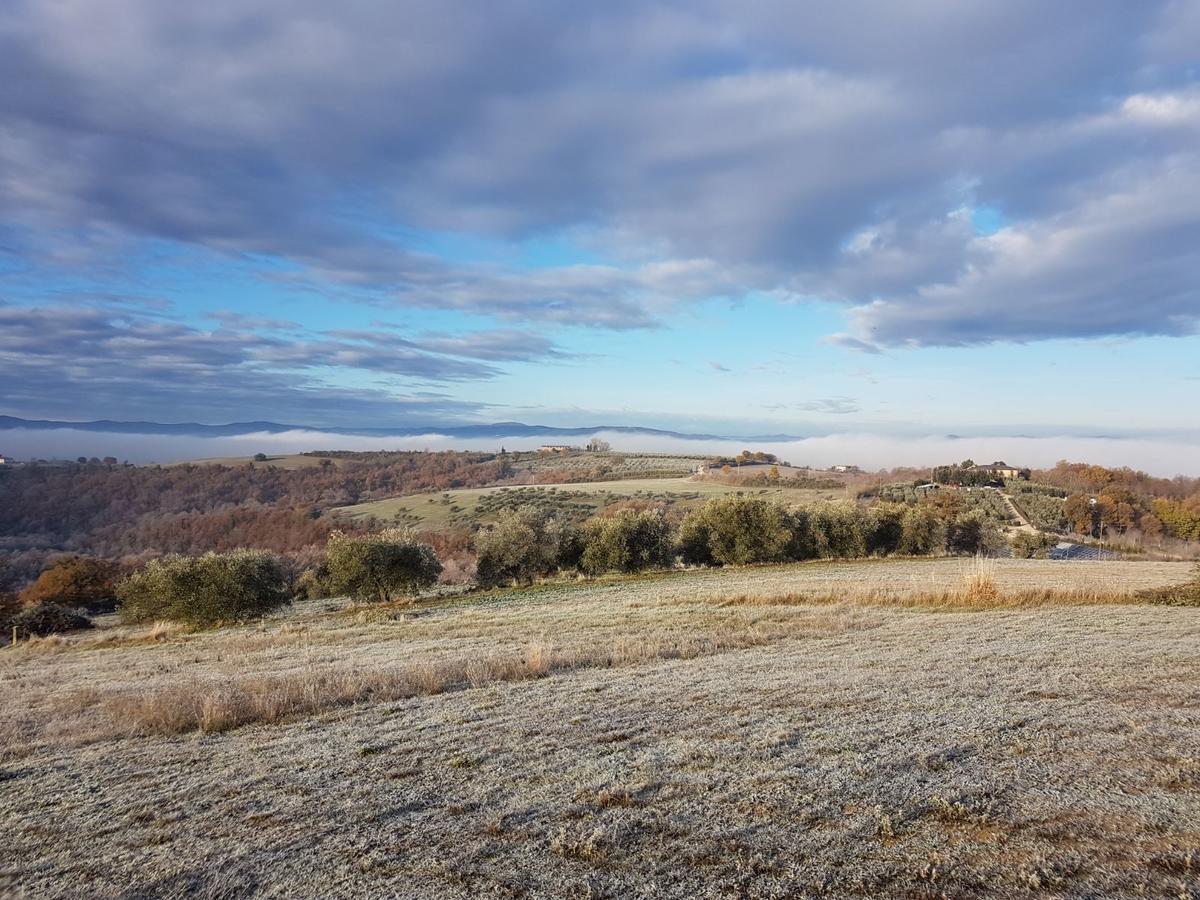 مبيت وإفطار ديروتا La Collina المظهر الخارجي الصورة